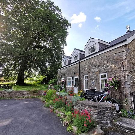 Swansea Valley Holiday Cottages Cilybebyll Bagian luar foto