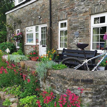 Swansea Valley Holiday Cottages Cilybebyll Bagian luar foto