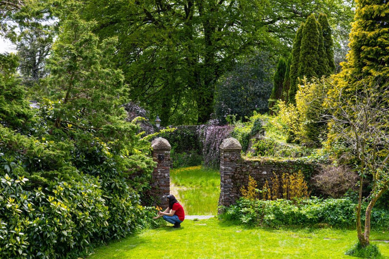 Swansea Valley Holiday Cottages Cilybebyll Bagian luar foto