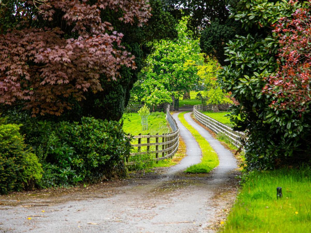 Swansea Valley Holiday Cottages Cilybebyll Bagian luar foto
