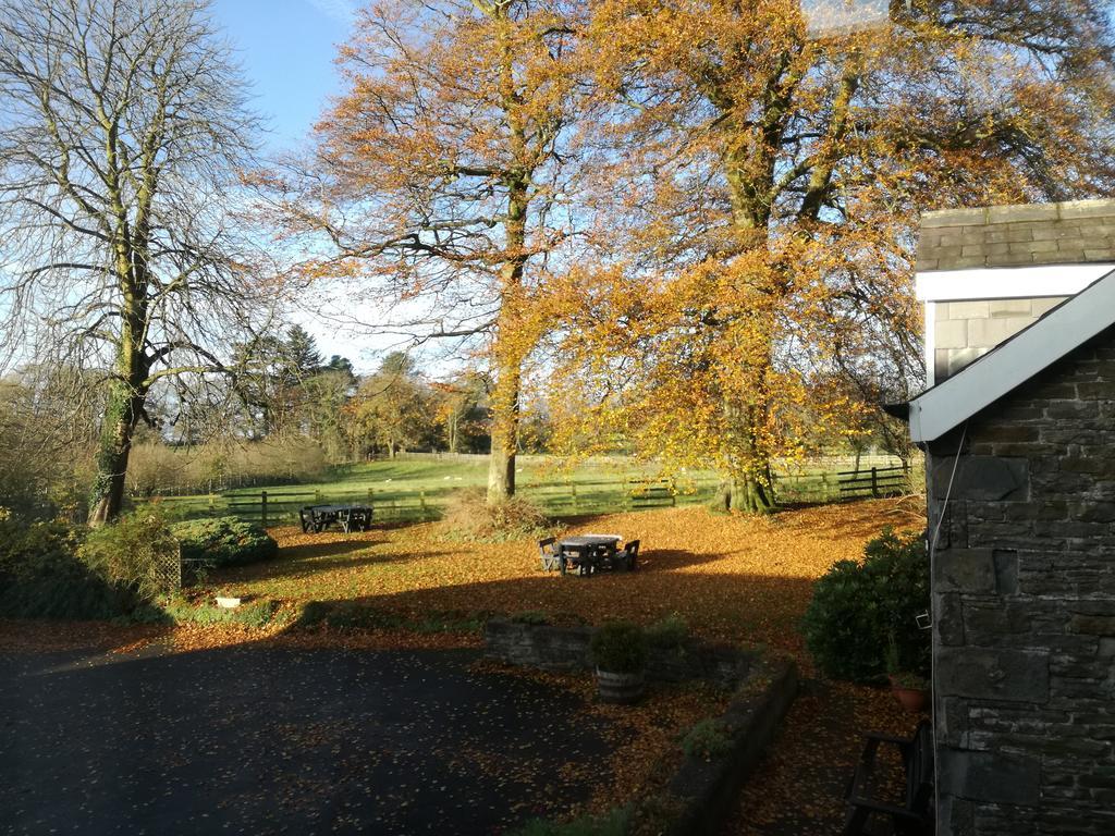 Swansea Valley Holiday Cottages Cilybebyll Bagian luar foto